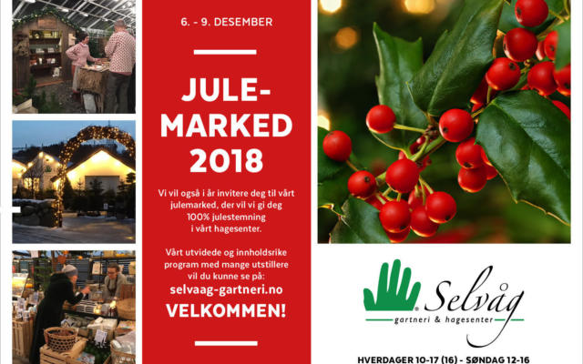Teaser Julemarked