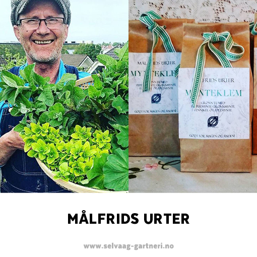 Selvaag Julemarked Issuu 141117 Org 15