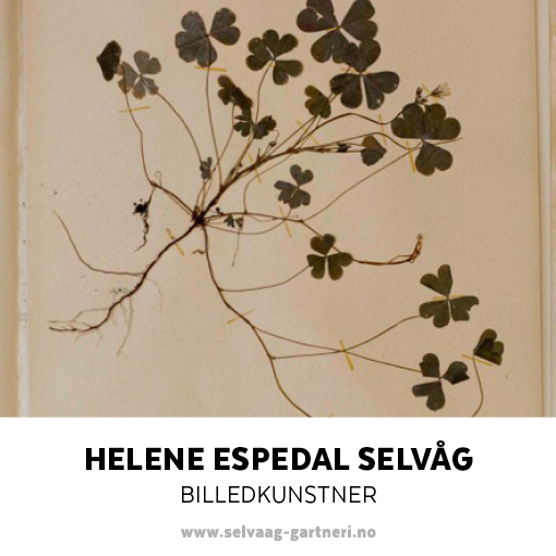 Selvaag Julemarked Issuu 141117 Org 17